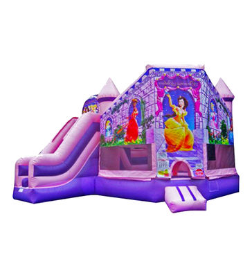 আউটডোর বিনোদনের জন্য গোলাপী এবং বেগুনি inflatable খেলা কাসল