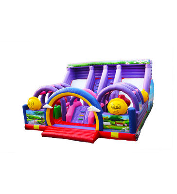 কাস্টমাইজ করুন বড় দুই লেন স্লাইড বেগুনি inflatable বাউন্সার স্লাইড