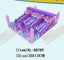 বেগুনি বড় স্লাইড শিশুদের মজা পার্ক inflatable খেলার মাঠ