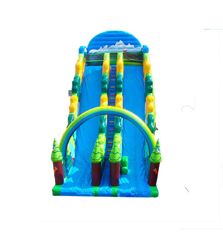 নীল রঙের শিশুদের বিনোদন পার্ক ভাড়া জন্য inflatable বড় স্লাইড
