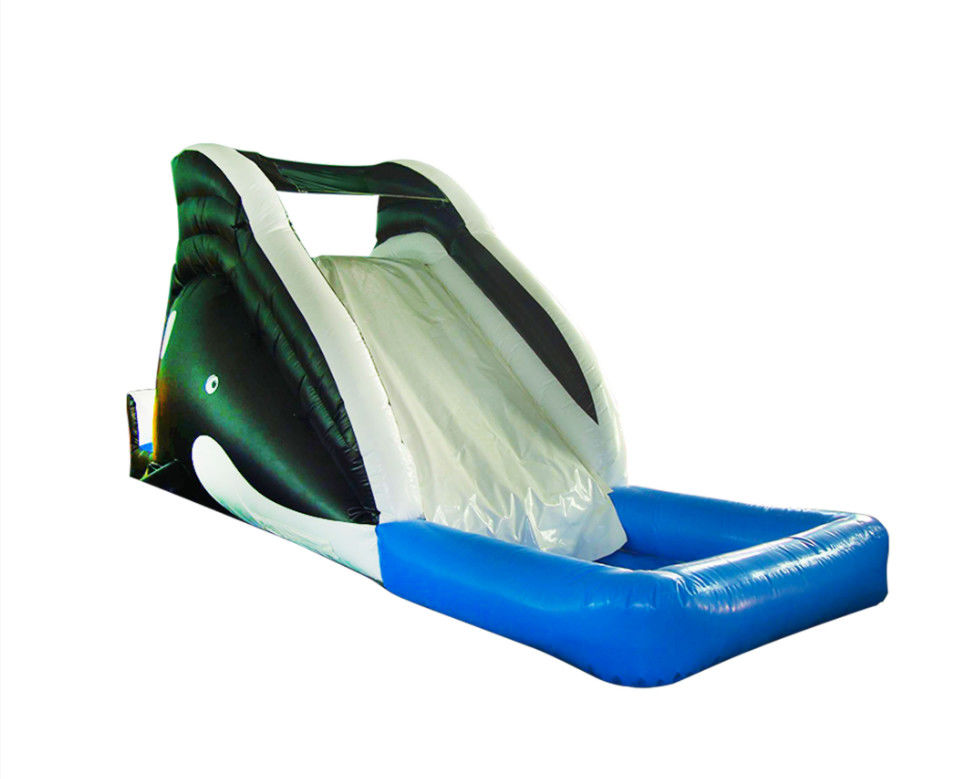 প্রাণবন্ত এবং রঙিন inflatable স্লাইড শিশুদের জন্য উত্তেজনাপূর্ণ স্লাইডিং অভিজ্ঞতা